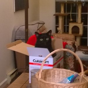 Meet your Posher, Beverly